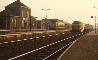 Geraardsbergen - TH 84-1311.jpg